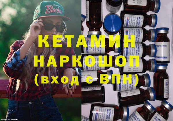 индика Козловка