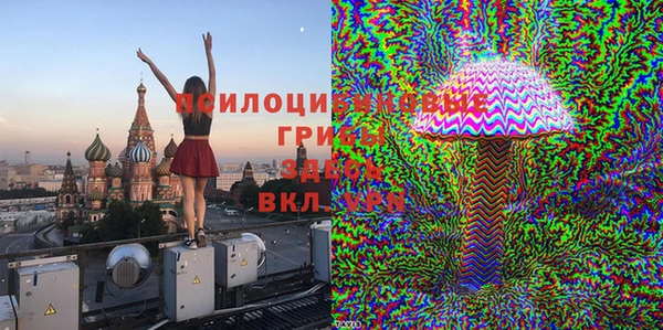 индика Козловка
