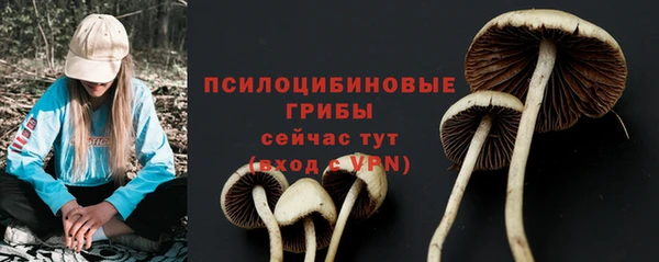 марки lsd Кодинск