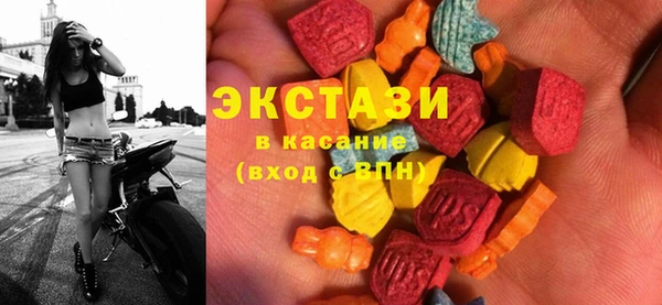 индика Козловка
