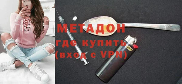 индика Козловка