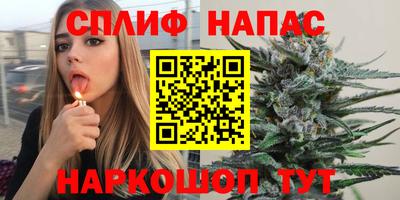гашик Аргун
