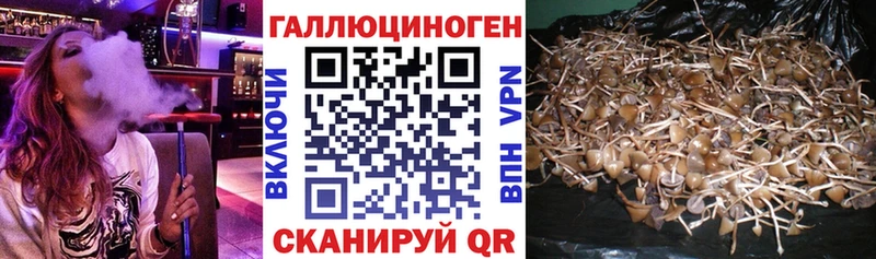 Галлюциногенные грибы прущие грибы Богородицк