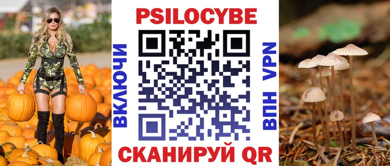 Псилоцибиновые грибы Psilocybine cubensis  Богородицк 