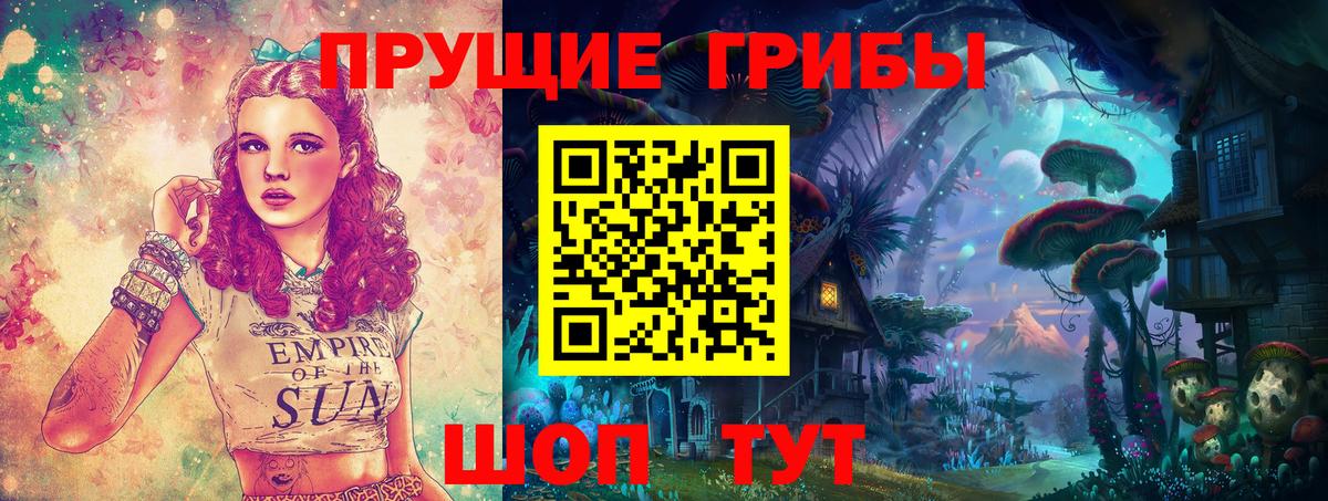 Богородицк  цена наркотик  Вход с VPN  Псилоцибиновые грибы Cubensis 